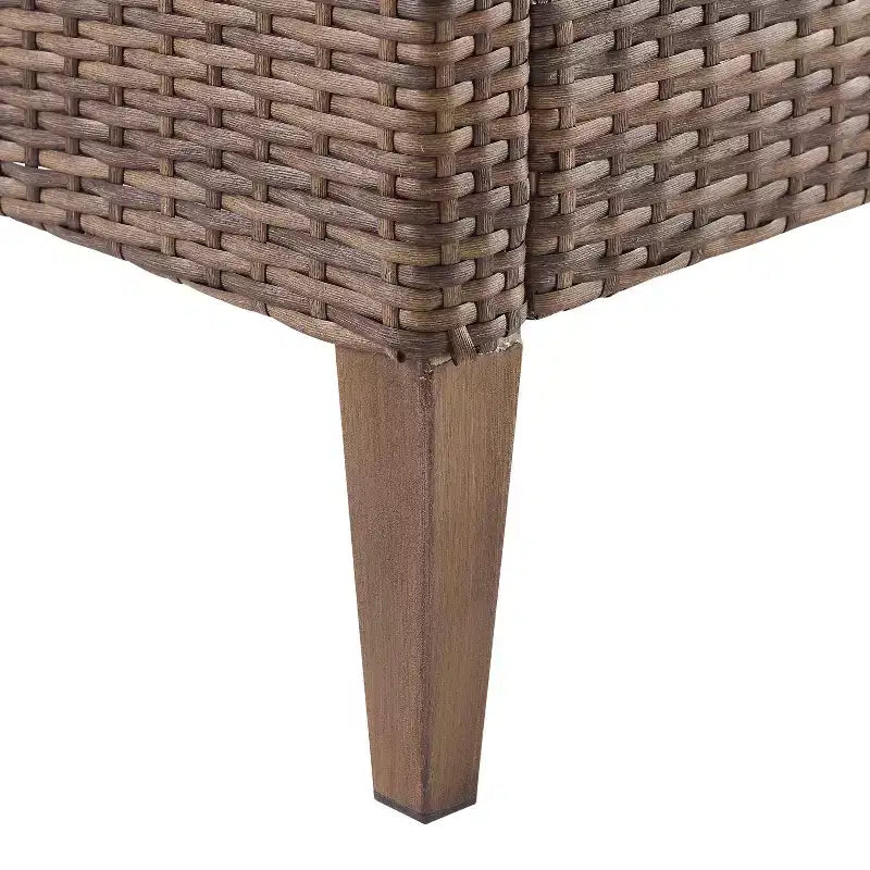 Capella 2pk Outdoor Wicker Arm Chairs - Cream/Brown - Crosley