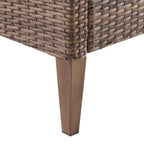 Capella 2pk Outdoor Wicker Arm Chairs - Cream/Brown - Crosley