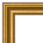 24" x 30" Non-Beveled Parlor Bathroom Wall Mirror Gold - Amanti Art