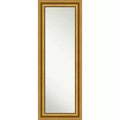 20" x 54" Non-Beveled Parlor Gold Full Length on The Door Mirror - Amanti Art: Includes Hooks, Polystyrene Frame, No Assembly Required