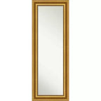 20" x 54" Non-Beveled Parlor Gold Full Length on The Door Mirror - Amanti Art: Includes Hooks, Polystyrene Frame, No Assembly Required