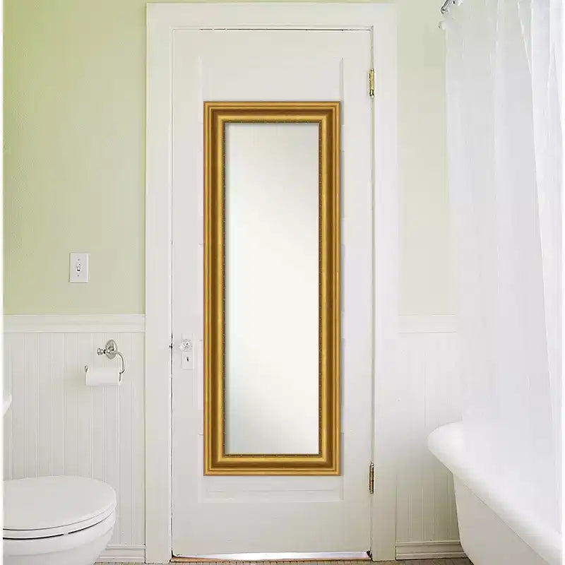 20" x 54" Non-Beveled Parlor Gold Full Length on The Door Mirror - Amanti Art: Includes Hooks, Polystyrene Frame, No Assembly Required