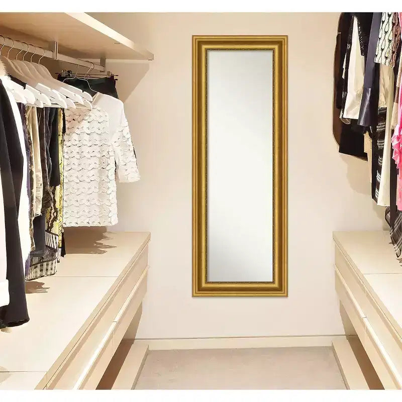 20" x 54" Non-Beveled Parlor Gold Full Length on The Door Mirror - Amanti Art: Includes Hooks, Polystyrene Frame, No Assembly Required