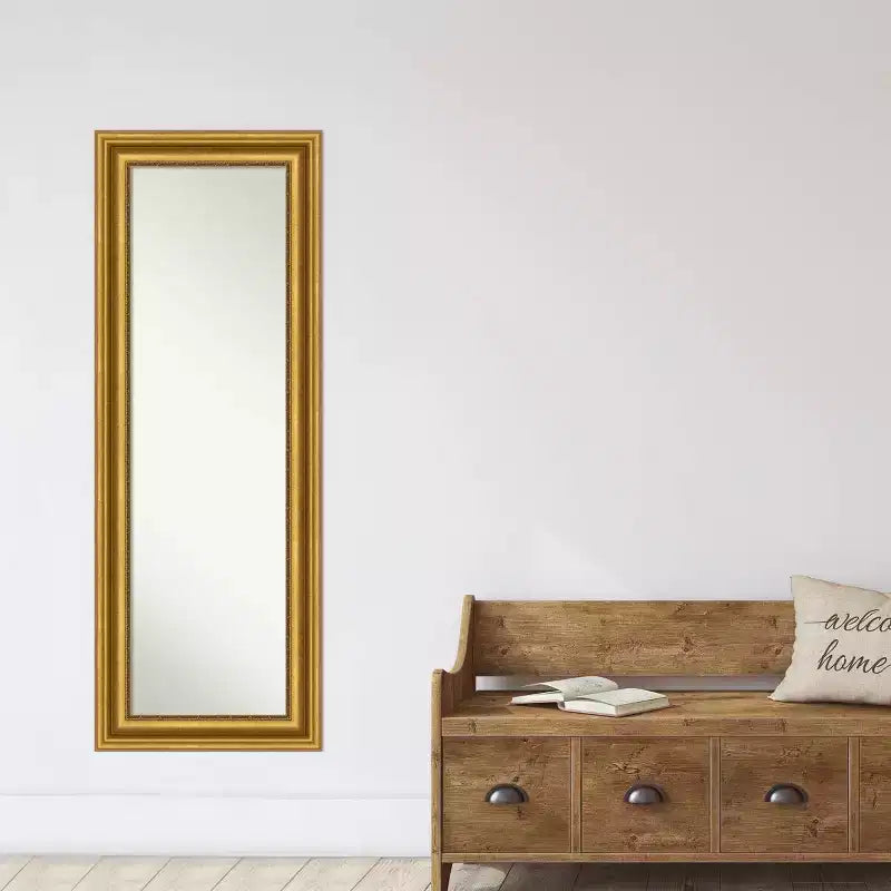 20" x 54" Non-Beveled Parlor Gold Full Length on The Door Mirror - Amanti Art: Includes Hooks, Polystyrene Frame, No Assembly Required