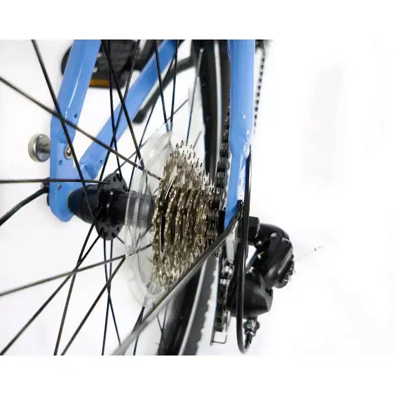 Bicicletta Pieghevole ZiZZO Via 7-Marce in Alluminio 20" - Blu Cielo