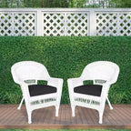 HomeStock Zen Zone Chair Set of 2, Durable Resin Wicker, Weather-Resistant with Cushions