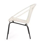GDFStudio Belvidere Outdoor Modern Wicker and Iron Club Chairs (Set of 2)