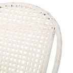 GDFStudio Belvidere Outdoor Modern Wicker and Iron Club Chairs (Set of 2)