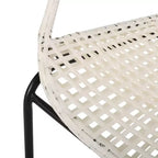 GDFStudio Belvidere Outdoor Modern Wicker and Iron Club Chairs (Set of 2)
