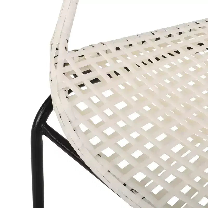GDFStudio Belvidere Outdoor Modern Wicker and Iron Club Chairs (Set of 2)