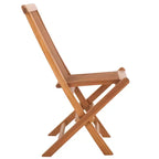 Holly Solid Teak Folding Chair Indoor/Outdoor (Set of 2) - PAT6503 - Natural - Safavieh