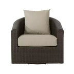 Christopher Knight Home Darius Outdoor Wicker Swivel Club Chair with Cushions