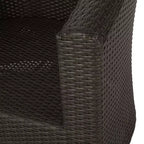 Christopher Knight Home Darius Outdoor Wicker Swivel Club Chair with Cushions