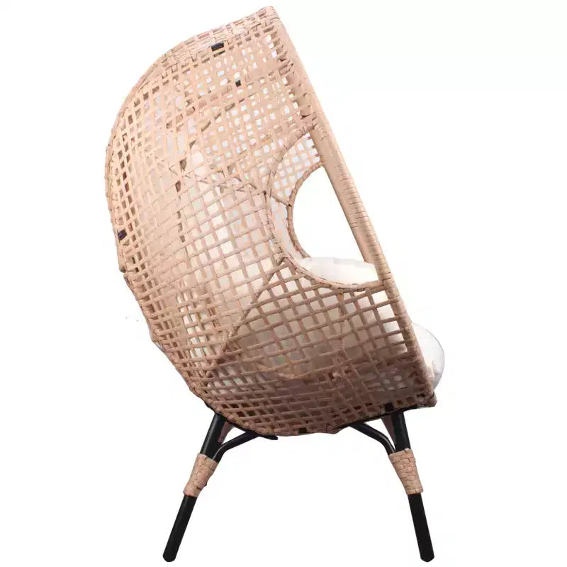 Whisen 37.4 in. W 1-Person PE Wicker Patio Egg Chair Patio Swings Chair with Cushion