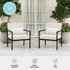 Martha Stewart Lily Pond Set of 2 Indoor-Outdoor Patio Accent Chairs with Steel Frames in Black with Cream All-Weather Cushions