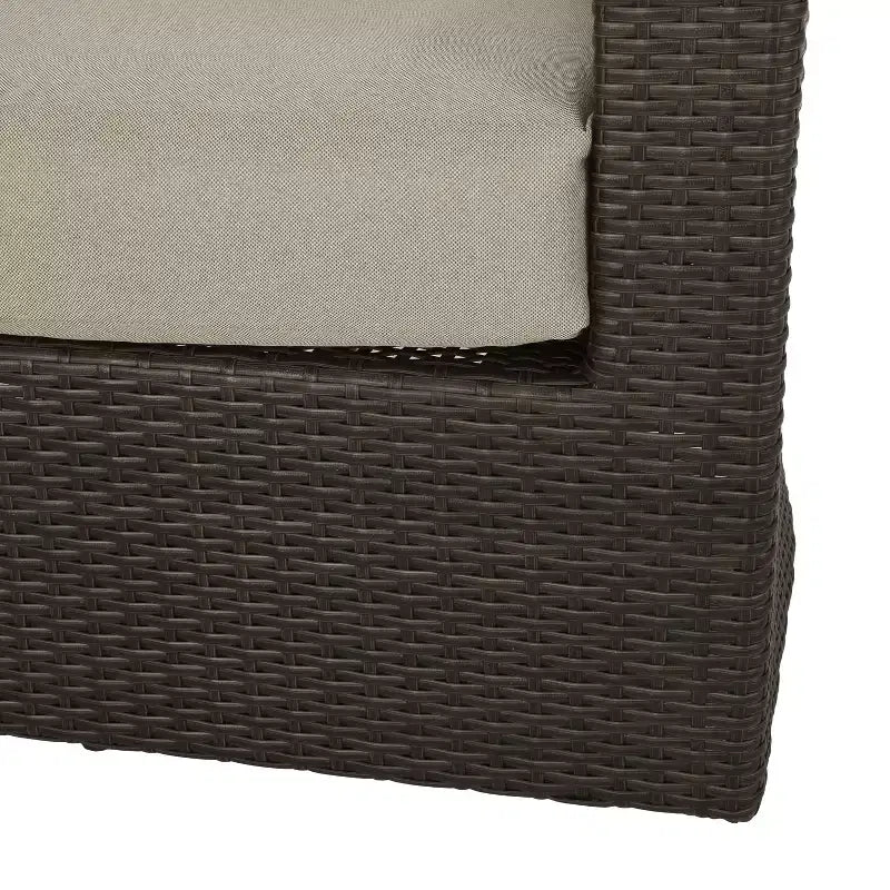 Christopher Knight Home Darius Outdoor Wicker Swivel Club Chairs with Cushion (Set of 2)