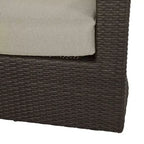 Christopher Knight Home Darius Outdoor Wicker Swivel Club Chairs with Cushion (Set of 2)