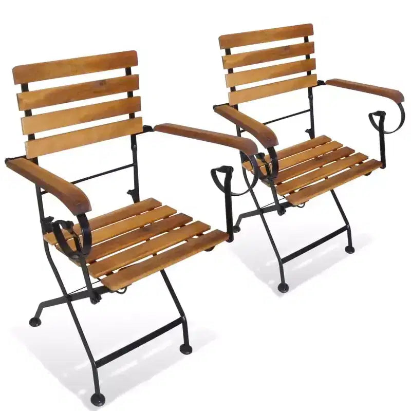 vidaXL Sedie Pieghevoli da Giardino in Stile Industriale, Set da 2, in Legno Massello di Acacia e Acciaio Verniciato a Polvere, Adatte per Giardino, Balcone e Patio