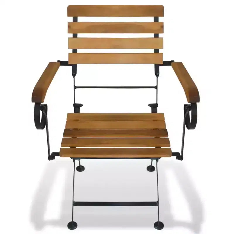 vidaXL Sedie Pieghevoli da Giardino in Stile Industriale, Set da 2, in Legno Massello di Acacia e Acciaio Verniciato a Polvere, Adatte per Giardino, Balcone e Patio