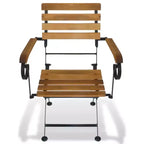 vidaXL Sedie Pieghevoli da Giardino in Stile Industriale, Set da 2, in Legno Massello di Acacia e Acciaio Verniciato a Polvere, Adatte per Giardino, Balcone e Patio