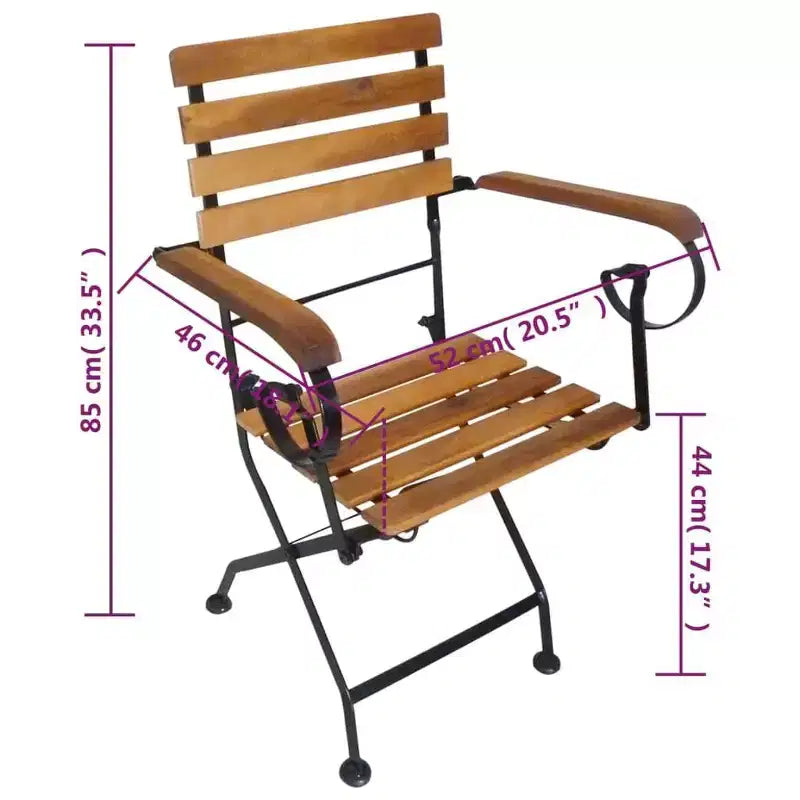 vidaXL Sedie Pieghevoli da Giardino in Stile Industriale, Set da 2, in Legno Massello di Acacia e Acciaio Verniciato a Polvere, Adatte per Giardino, Balcone e Patio
