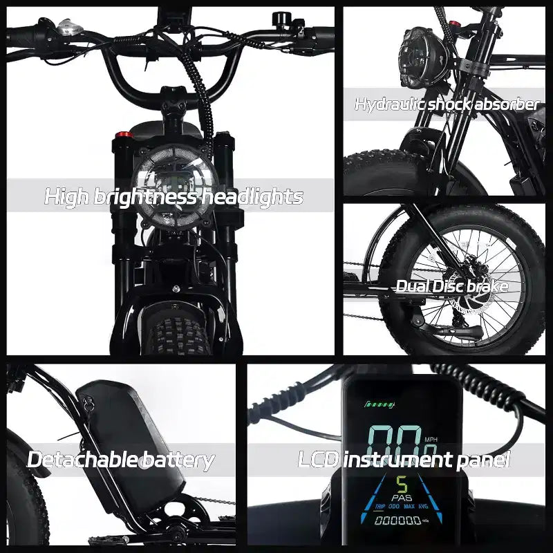 Electric Mountain Bike for Adults, 20 x 4.0 Fat Tire, 750W Motor with 48V 15.6Ah Removable Battery