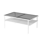 Okak Rectangle Modern Coffee Table with Storage Open Shelves, Tempered Glass Top Practical Side Table for Living Room Dining room