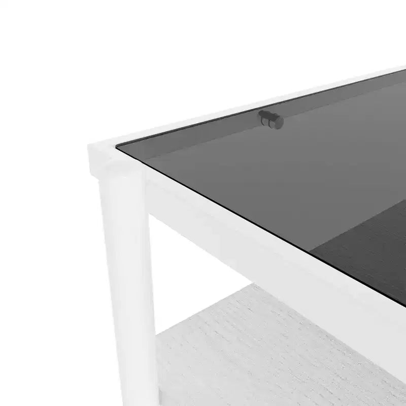 Okak Rectangle Modern Coffee Table with Storage Open Shelves, Tempered Glass Top Practical Side Table for Living Room Dining room