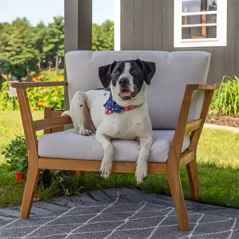 Sunnydaze Bodie, Poltrona da Patio in Legno di Acacia con Cuscini Bianco Osso - Naturale