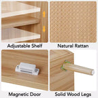 Credenza a Buffet in Rattan con Contenitore, Ripiani Regolabili, Piedini in Legno, Mobiletto Contenitore per Ingresso, per Sala da Pranzo, Corridoio, Ingresso