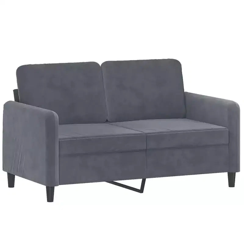 vidaXL Set Divano a 2 Pezzi in Velluto Grigio Scuro, Stile Moderno, Seduta Confortevole con Telaio Robusto, Perfetto per Soggiorno o Ufficio