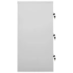 vidaXL Armadietti multiuso (2 pz) in acciaio grigio e blu | Contenitori industriali con scomparti multipli | Mobile schedario con serrature