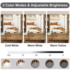 Farmhouse Makeup Vanity Table Set with Lighted Mirror,55.7 Modern Vanity Desk with Power Outlet&Storage Shelves,Dressing Table for Women & Girls