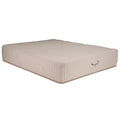 HomeStock Organa Super Plus 12 in. Latex Pocket Spring Mattress, Beige