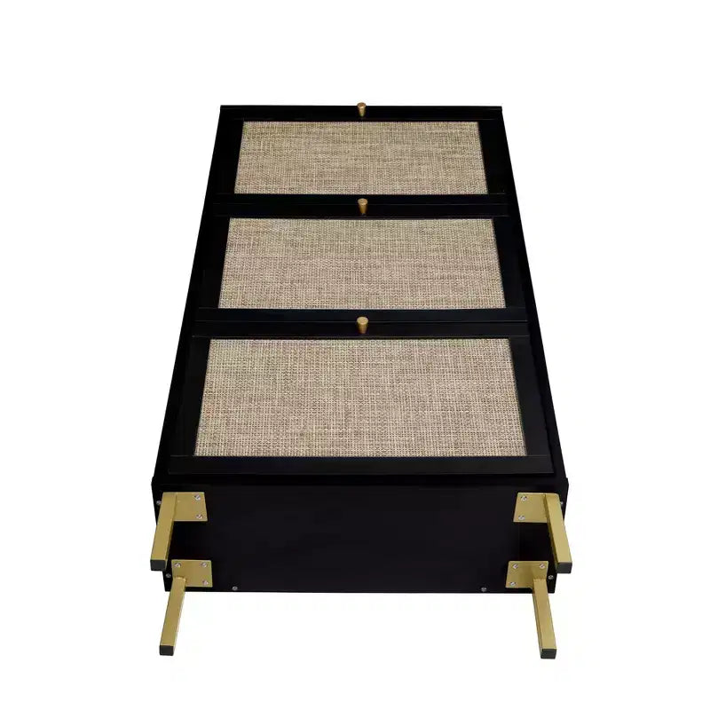 MAYEERTY Scarpiere in Rattan con 3 Ante, Scarpiera Moderna da Ingresso Nera