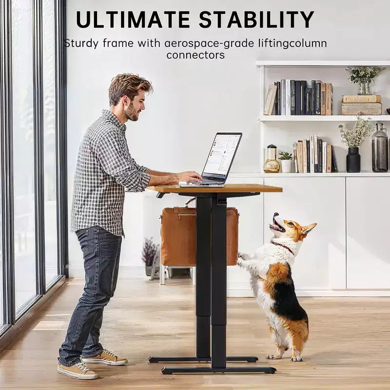 Scrivania elettrica regolabile in altezza ErGear, 160 x 70 cm, scrivania sit-stand, ampia scrivania da ufficio con memoria e piano in due pezzi