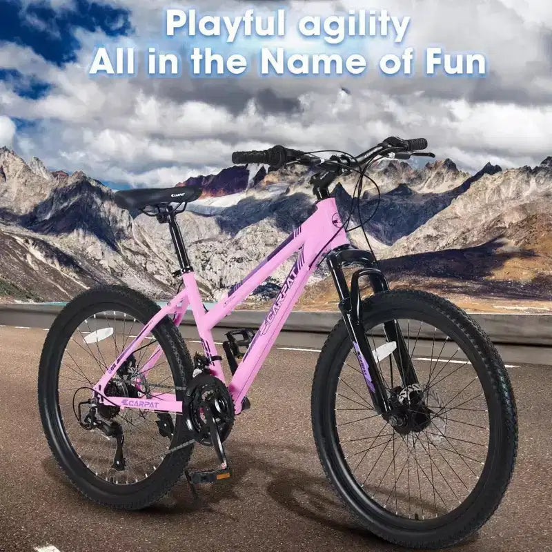 NAYSAYE Bicicletta Mountain Bike da 24 pollici con cambio a 21 velocità, doppi freni a disco per adolescenti e donne, rosa, 66*24.8*35