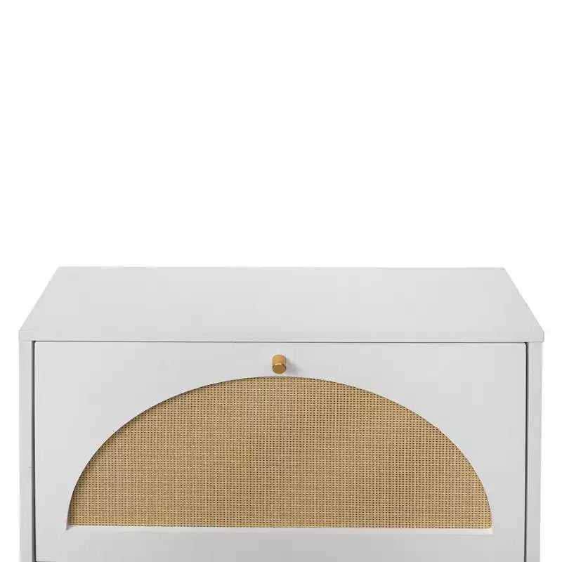 GDFStudio Bexley Modern Shoe Rack with 2 Rattan Door and Metal Base