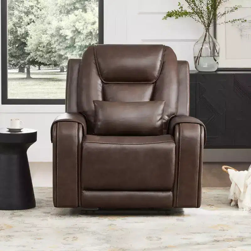 Spruce & Spring Electric Power Lift Recliner with Heat and Massage for Elderly