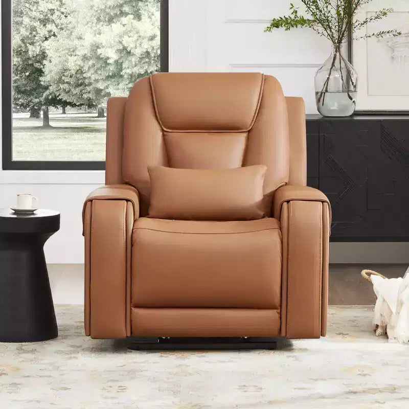 Spruce & Spring Electric Power Lift Recliner with Heat and Massage for Elderly