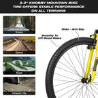 Hykolity 29 pollici Mountain Bike 29r MTB Bicicletta Sportiva Bici Grande Full Suspension Leggera Ciclismo All'aperto per Adulti Uomo Donna Grigio Neutro