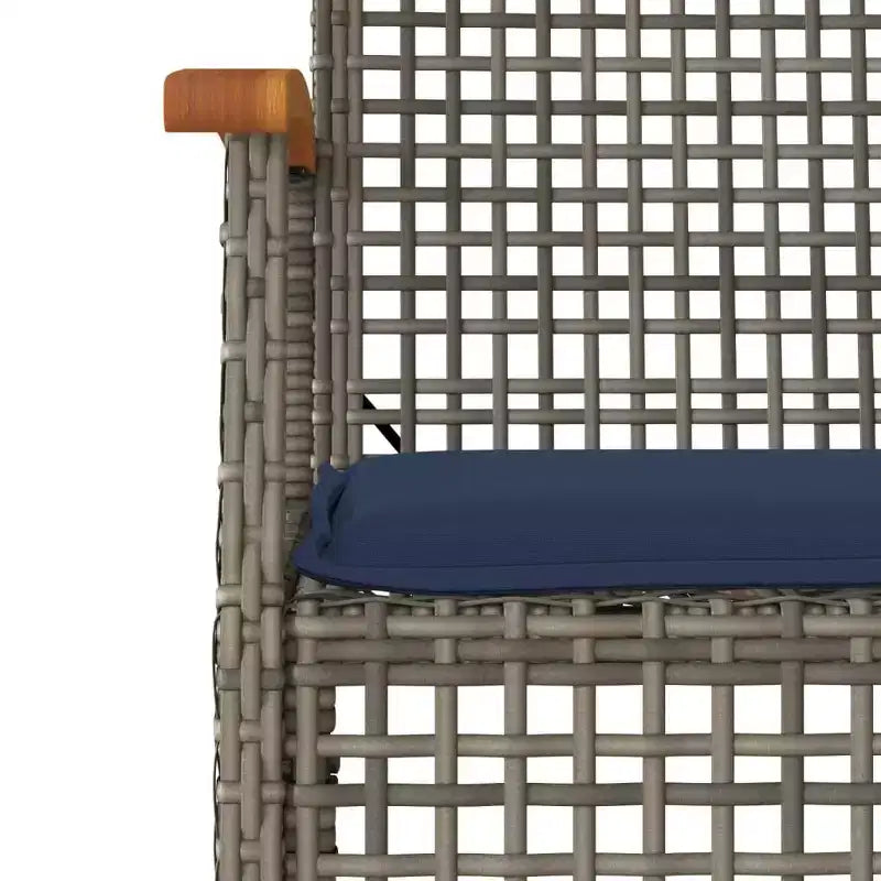 vidaXL Patio Chairs with Cushions Outdoor 4 Pcs Gray Poly Rattan Acacia Wood
