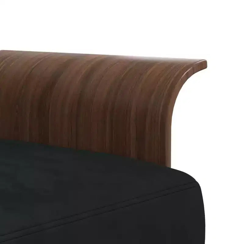 vidaXL Divano Letto Trasformabile Divano Letto Estraibile per Soggiorno Velluto