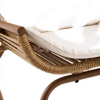 Christopher Knight Home Katerina Farmhouse Outdoor Woven Rattan Rocking Chair with Cushions