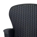 vidaXL Sedie da Giardino 2 pz Sedia Singola da Pranzo con Cuscino Effetto Rattan in Plastica