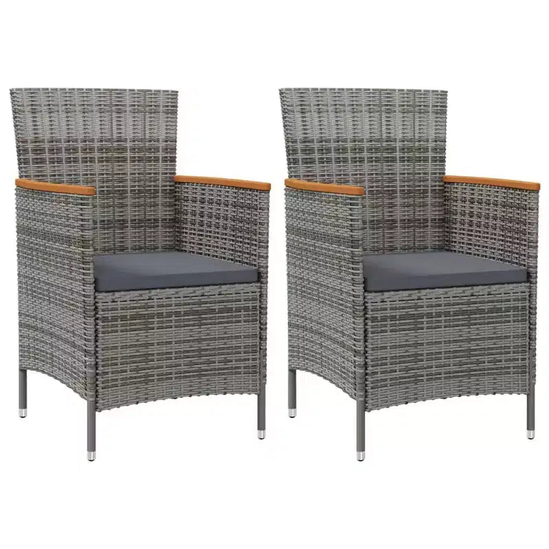 vidaXL Garden Chair Set of 2