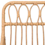 vidaXL Garden Chairs Set of 2 with Armrests, PE Rattan