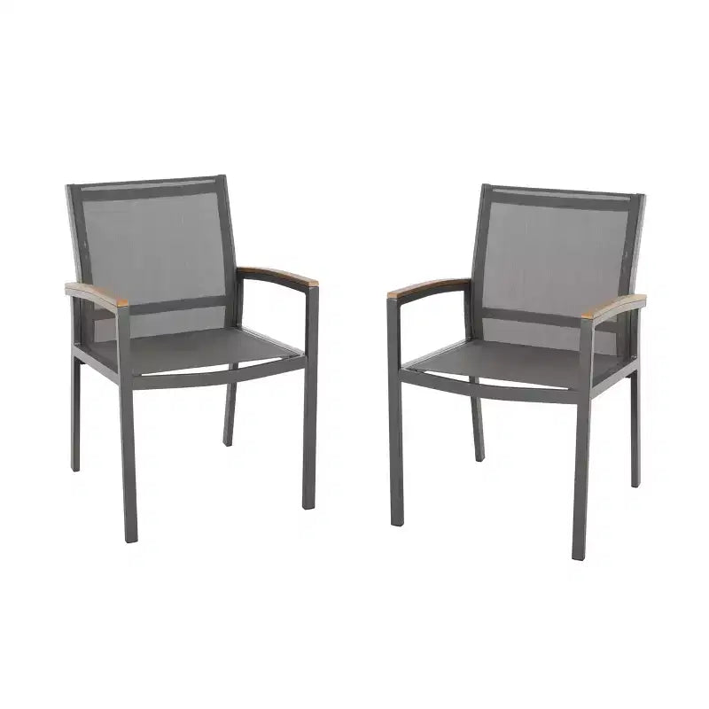 Set di 2 sedie da pranzo per esterni, sedie accentate per patio, poltrona da giardino in alluminio, design per tutte le stagioni, grigio - ModernLuxe