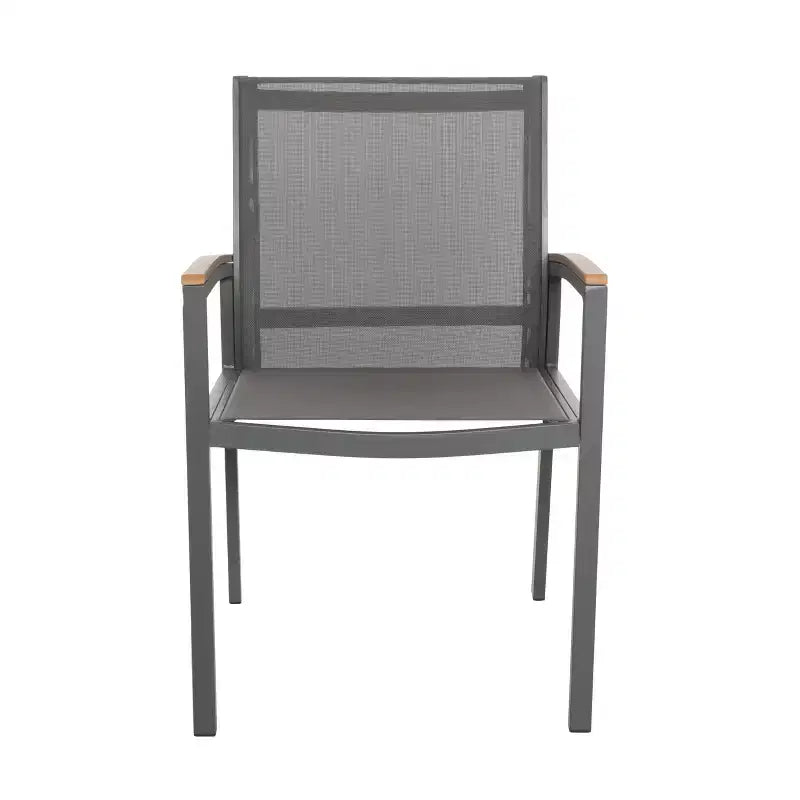 Set di 2 sedie da pranzo per esterni, sedie accentate per patio, poltrona da giardino in alluminio, design per tutte le stagioni, grigio - ModernLuxe