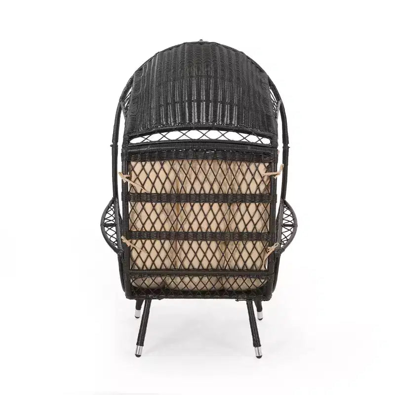 Christopher Knight Home Didier Farmhouse Iron and Faux Rattan Patio Standing with Basket Design
